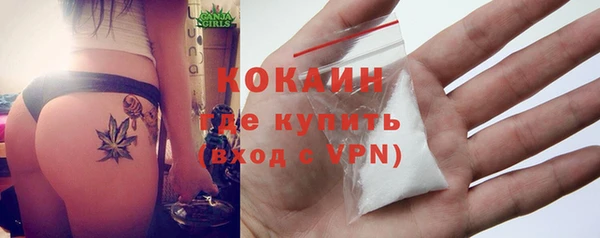 шишки Гвардейск