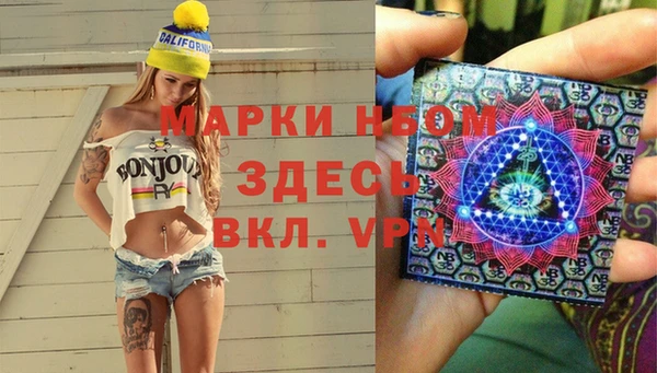 шишки Гвардейск