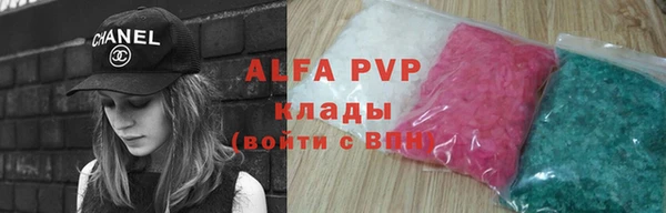 шишки Гвардейск