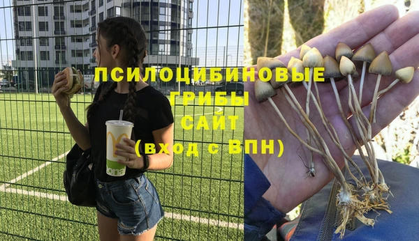 мет Галич