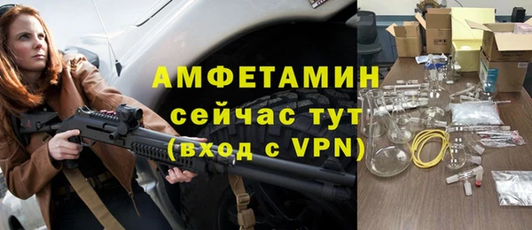 шишки Гвардейск