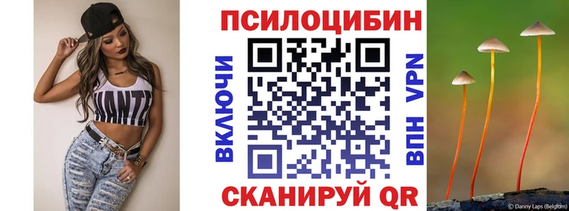Купить  Лабытнанги  Псилоцибиновые грибы Psilocybine cubensis 